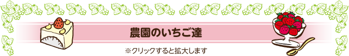 いちご農園のいちご達